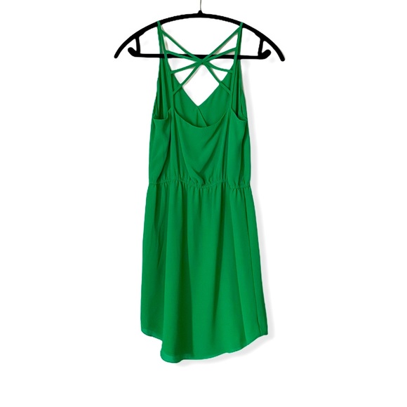 Naked Zebra Dress - Picture 3 of 3